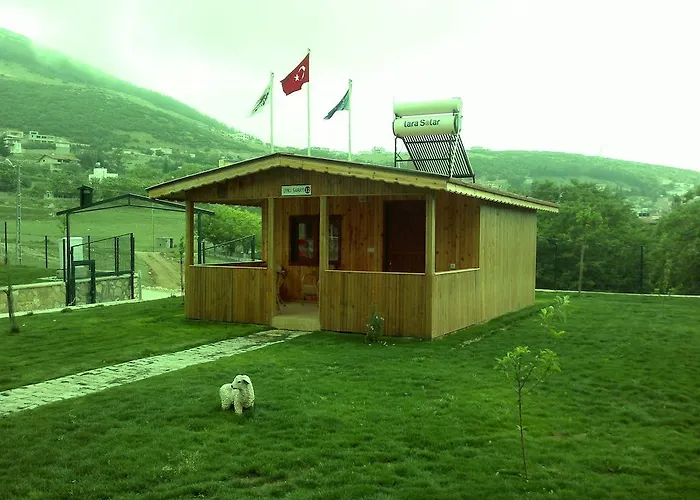 Varlibas Uyku Sarayi