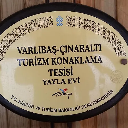 Varlibas Uyku Sarayi * Atik