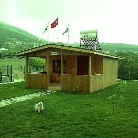 Varlibas Uyku Sarayi