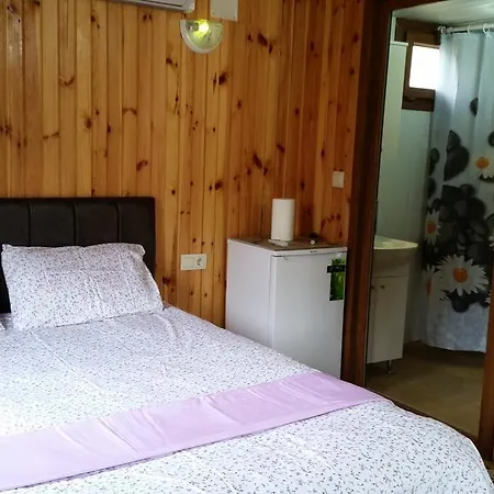 Varlibas Uyku Sarayi Atik