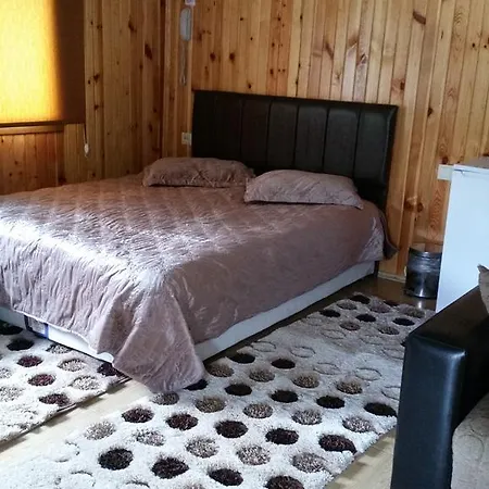 Dom wakacyjny Varlibas Uyku Sarayi