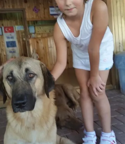 Casa de Férias Varlibas Uyku Sarayi Atik