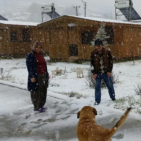 Varlibas Uyku Sarayi Tatil Evi Atik