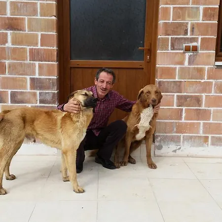 Tatil Evi Varlibas Uyku Sarayi *