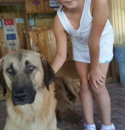 Tatil Evi Varlibas Uyku Sarayi Atik