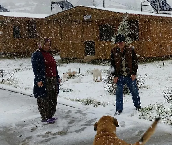 Varlibas Uyku Sarayi بيت للعطل Atik