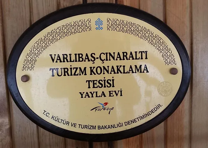 Varlibas Uyku Sarayi * Atik