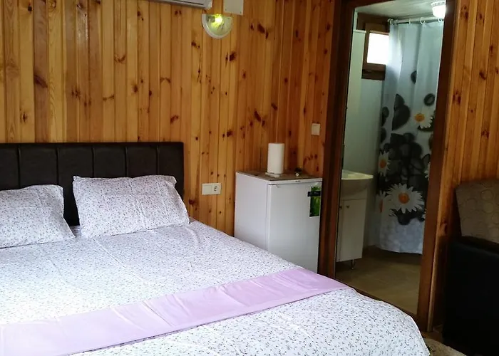 Varlibas Uyku Sarayi Atik